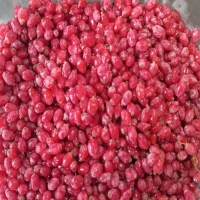 زرشک تازه 500 گرمی